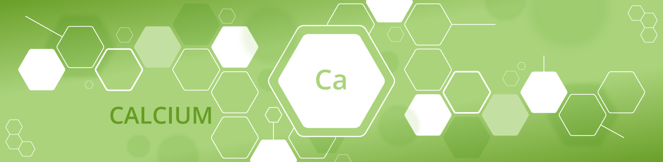 Celtic Chemicals produces and stocks high purity Calcium Succinate 1 Hydrate which is essential to many industries