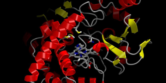 Enzymes - Promotes the decomposition of feedstock