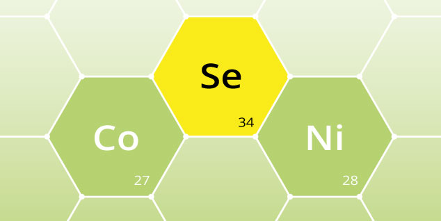 Tailored Trace Elements - Maximise your output