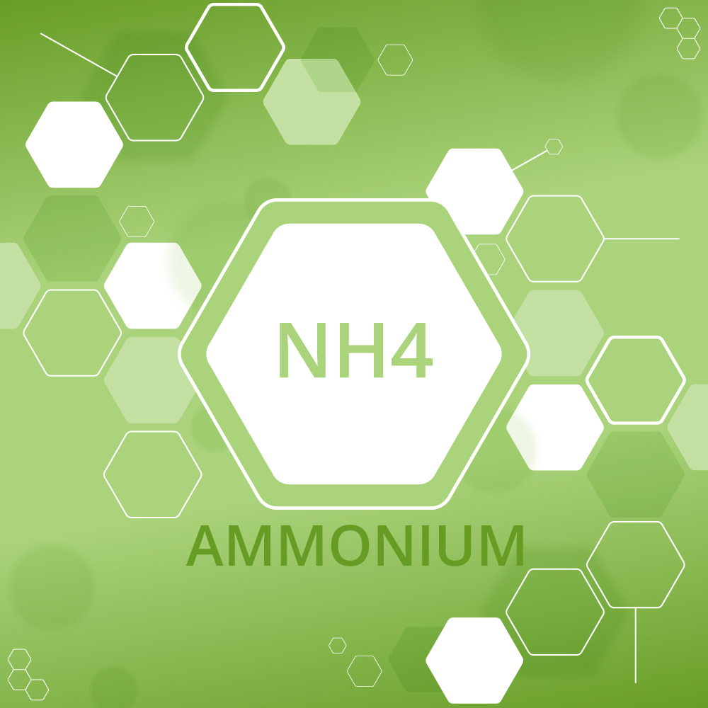 Ammonium Compounds, Mineral Salts & Chemical Products